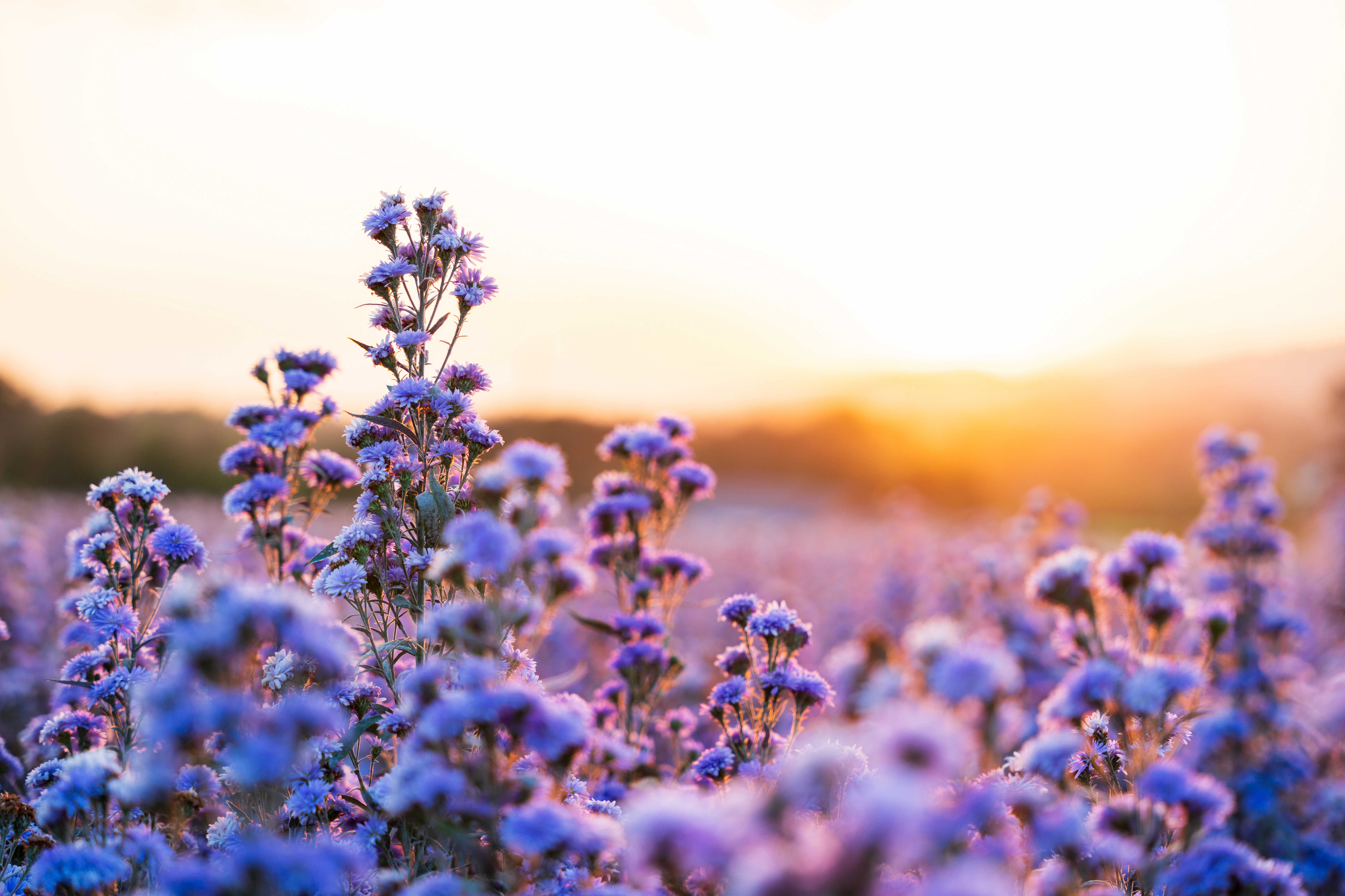 Golden Gate Funeral Home Fort Worth Photos - 3g5pz90